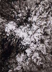 花岩悄語-109x79cm-彩墨紙本